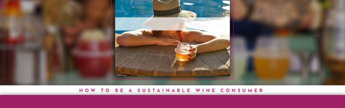How To Be A Sustainable Wine Consumer