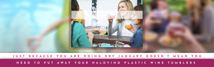 Just Because You Are Doing Dry January Doesn’t Mean You Need To Put Away Your HaloVino Plastic Wine Tumblers